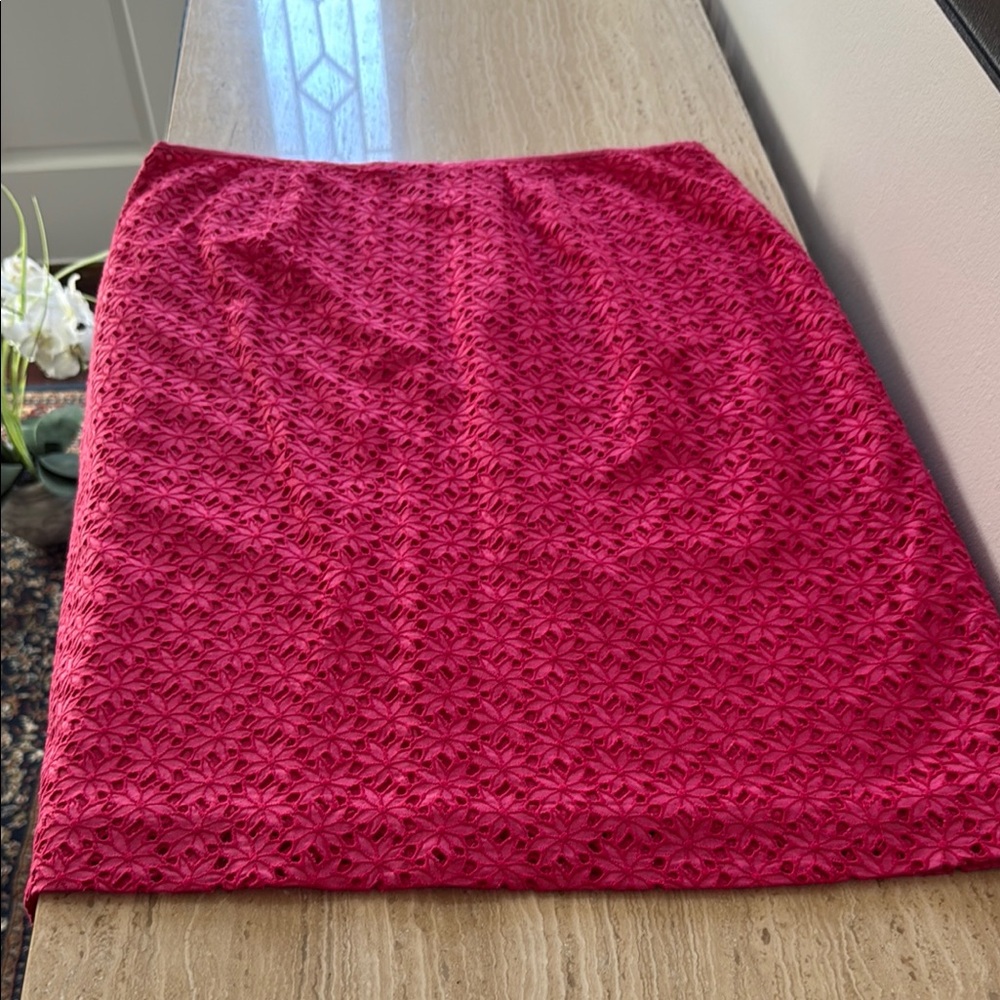 Ann Taylor Elegant Raspberry Skirt size 12
